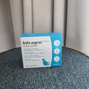 인트라젠 | 🦴 반려동물 관절 영양제 선택, 인트라젠 조인트파워 30p 후기