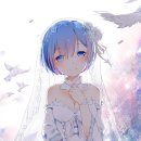 렘(REM)