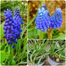 튼튼이농장 이미지