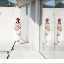 카페보리 이미지