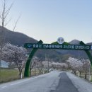 아이엠포레스트