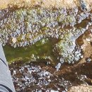 생활권26 이미지