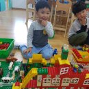주완농장 Daum카페