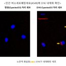 용바이오 이미지