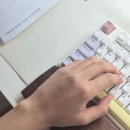 제일팜 | 원목 팜레스트 추천, 리튠우드 키보드 손목받침대 후기