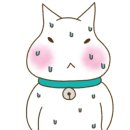 에이앤디 (A.N.D) 이미지