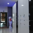 미샤스크린골프 이미지