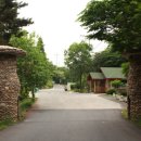 국립희리산해송자연휴양림 이미지