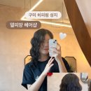 델피앙헤어