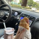 스테이산골강남 자쿠지힐링스파감성숙소 노천탕펜션 | [국내] 영월 감성숙소 촌캉스 스테이산골강남 (3동)