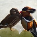 카페친구 이미지