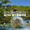 광릉수목원로 | 아이와 서울근교 캠핑 남양주 숲266 셀프바베큐장 주말 후기