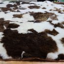 스타세탁·수선 이미지