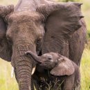 상아무역 이미지