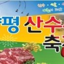 2013년 제10회 양평 산수유축제 (2013. 4. 6 ~ 2013. 4. 7 이미지