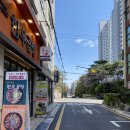 남도사계고운님 이미지