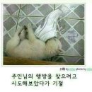 있어