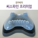(주)씨에스티 - 청주시 청원구 | 경추베개 : 라포르 씨스파인 프리미엄 홈케어 즐기기 ♪