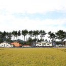 어은돌리솜펜션 이미지