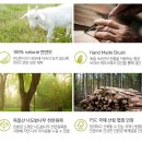 아기머리빗 블레스유(유아헤어브러쉬) 직접구매후기