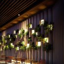 템퍼러리 이미지