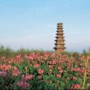 압량읍내 이미지