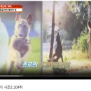 (주)펫투데이 이미지