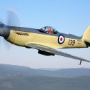 하늘토끼 이미지