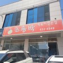 동아서림 | [현지인 추천] 속초 즉석떡볶이 맛집 조롱박 방문 후기 / 동아서점, 문우당서림 근처 맛집