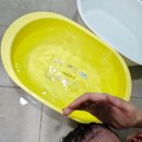 모닝온누리약국 | 아기피부건조 두피각질로 고민일 때 비올란아몬드오일 추천