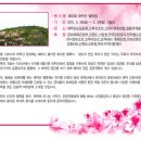 제112차 정기산행 태백산 철쭉(5월 29일) 이미지