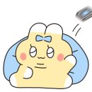 샤브향전주아중점