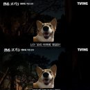 아득바득아득바득