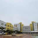 제로웨이스트교육 및 물품만들기 | 울산 제로웨이스트 수업 ㅣ샴푸바 만들기 출강후기 (친환경 체험 클래스)