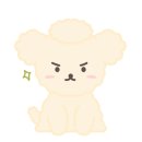 스텔라바디핏 이미지