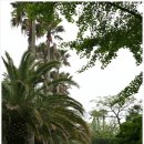 한림공원 이미지