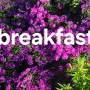 For delay dementia 1,421 Easy english 이미지