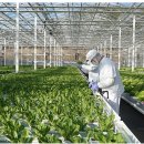 농업회사법인 (주)한국팜 이미지