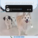 멍타쿠 이미지