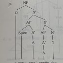 형용사가 두 개 이상 명사를 수식하는 경우 tree diagram 이미지