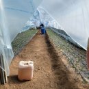 재만농장 이미지