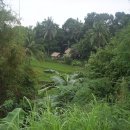 선교농장 이미지