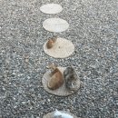 남해비엔비 이미지