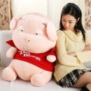 다양한 인형 선물 - 곰인형과의 즐거운 만남!!