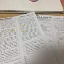 천지세무회계 이미지