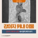 연성 동물병원 | 동물병원 강아지 구토·식욕부진,부산 동물병원 내시경으로 위내 이물 제거 치료 후기 부산 센텀 동물...