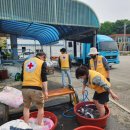 마지2리 이미지