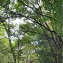 바우뫼로15길 이미지