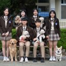 한국펫고등학교 이미지