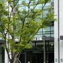 잡코리아 포지션 제안 면접 후기(광고대행사 영업마케팅 직무)
